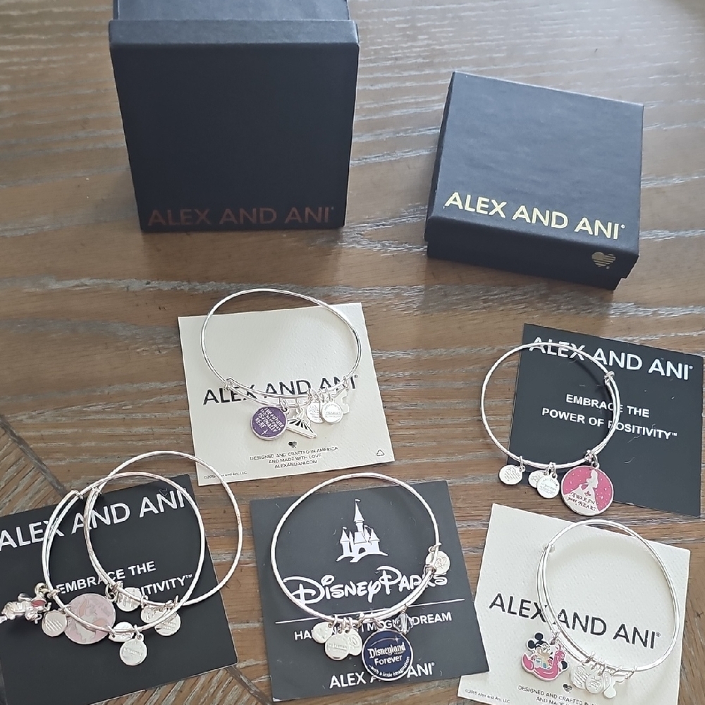 Alex and Ani Silver and Pink Charm Jewelry